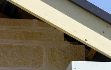 soffit repair The Hem
